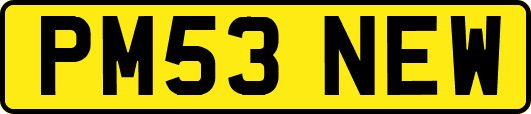 PM53NEW