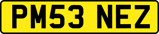 PM53NEZ