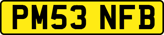 PM53NFB