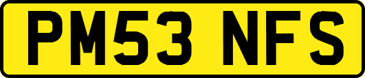 PM53NFS