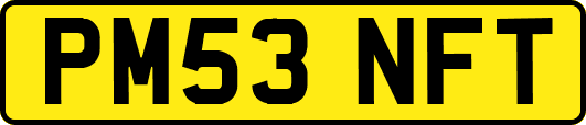 PM53NFT