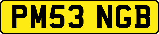 PM53NGB