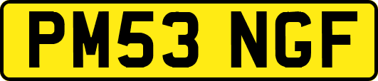 PM53NGF