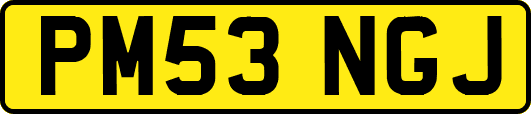 PM53NGJ