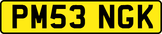 PM53NGK