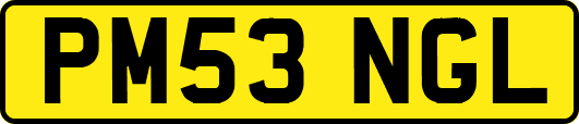 PM53NGL