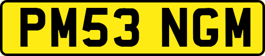 PM53NGM