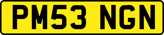PM53NGN