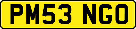 PM53NGO