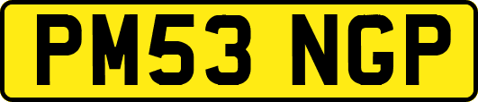 PM53NGP