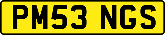 PM53NGS