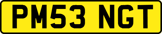 PM53NGT