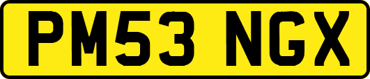 PM53NGX