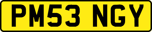 PM53NGY