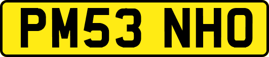 PM53NHO