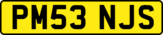 PM53NJS