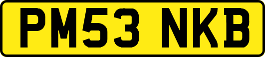 PM53NKB