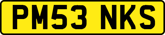 PM53NKS