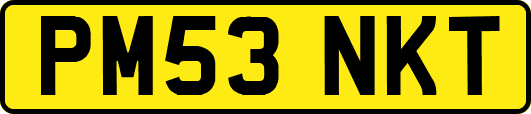 PM53NKT