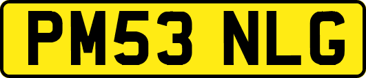 PM53NLG