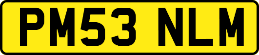 PM53NLM