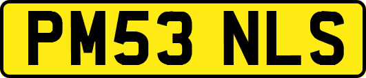 PM53NLS