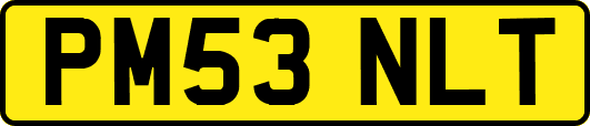 PM53NLT
