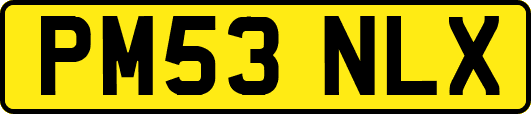 PM53NLX