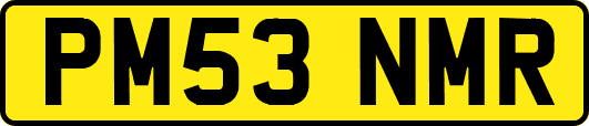 PM53NMR