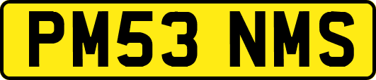 PM53NMS
