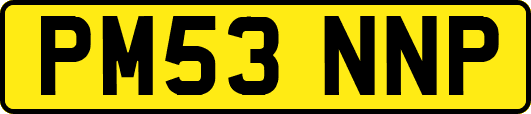 PM53NNP