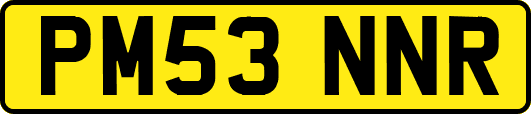 PM53NNR