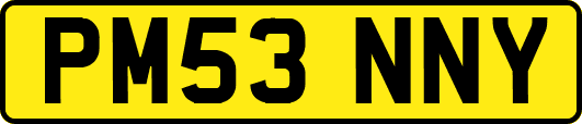 PM53NNY