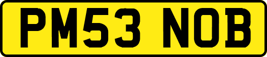 PM53NOB
