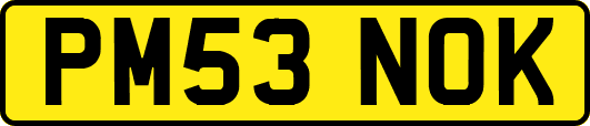PM53NOK