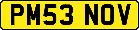 PM53NOV
