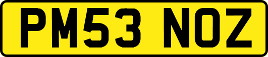 PM53NOZ