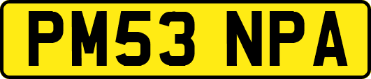 PM53NPA
