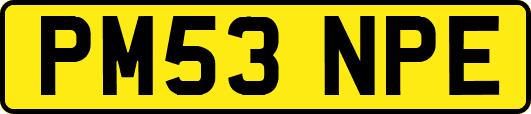 PM53NPE
