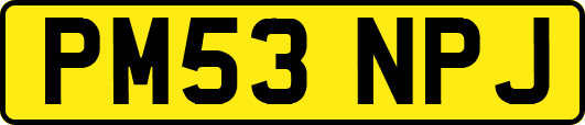 PM53NPJ