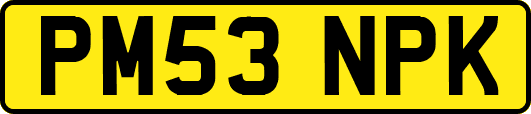 PM53NPK