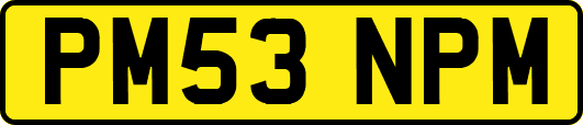 PM53NPM
