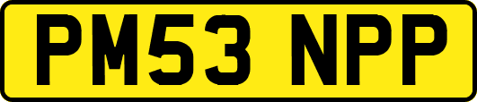 PM53NPP