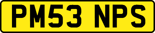 PM53NPS