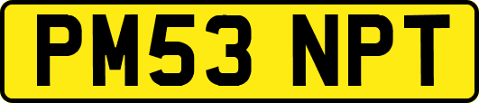 PM53NPT