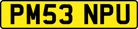 PM53NPU