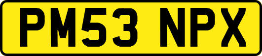 PM53NPX