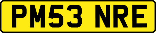 PM53NRE