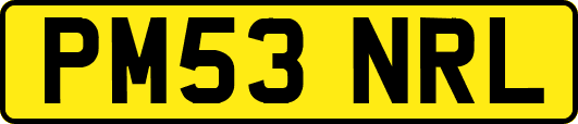 PM53NRL