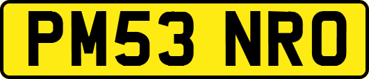 PM53NRO